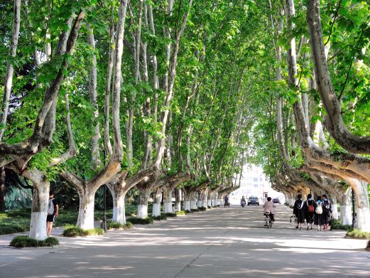 扬州大学