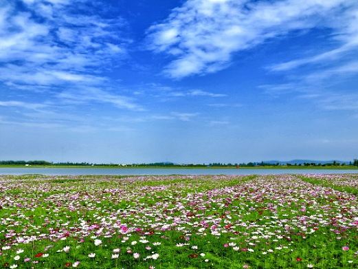 固城湖水慢城