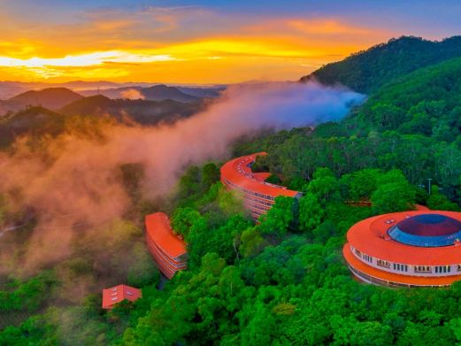 雁南飞茶田景区
