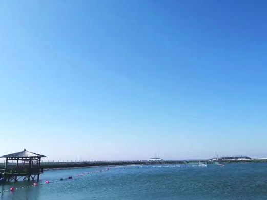 海洋红景区
