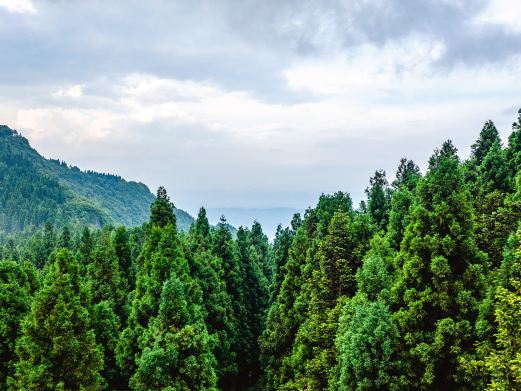 富尔山
