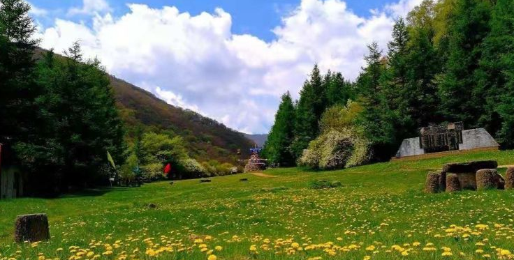 六盘山生态植物园