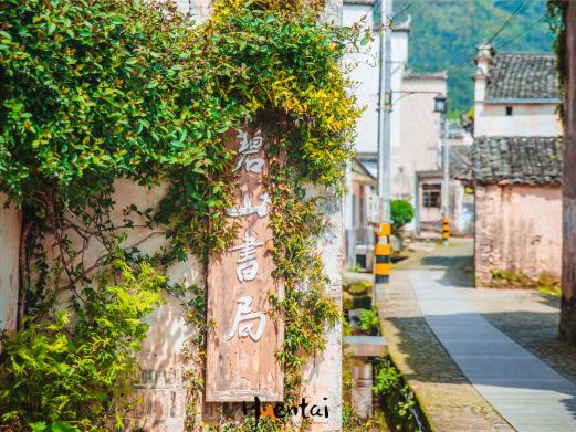 碧山
