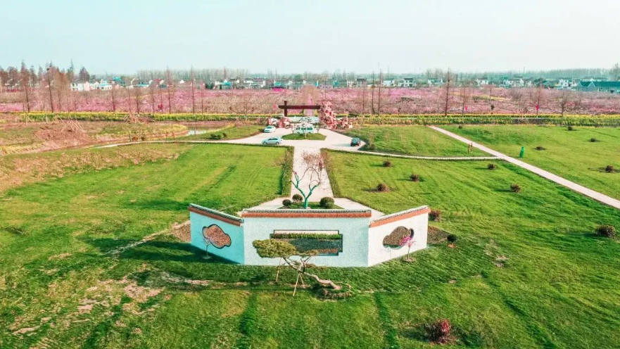 扬州赏桃花