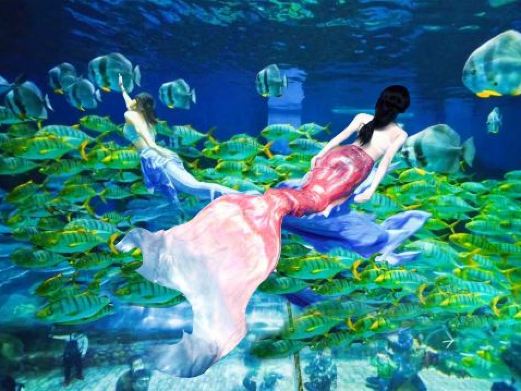 华夏文旅海洋公园