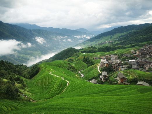 龙脊梯田