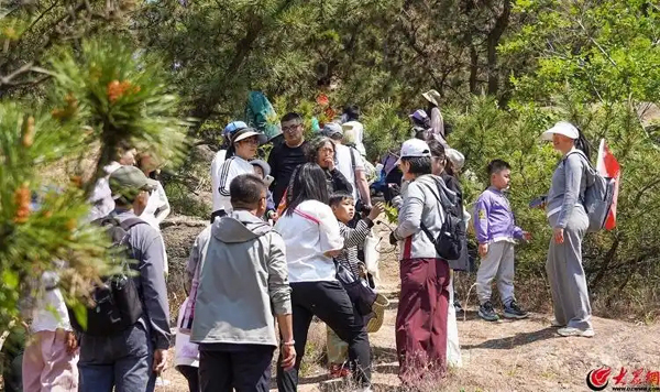 青岛大珠山景区：中草药研学赋能文旅融合 “养生+旅游”开拓文旅新赛道